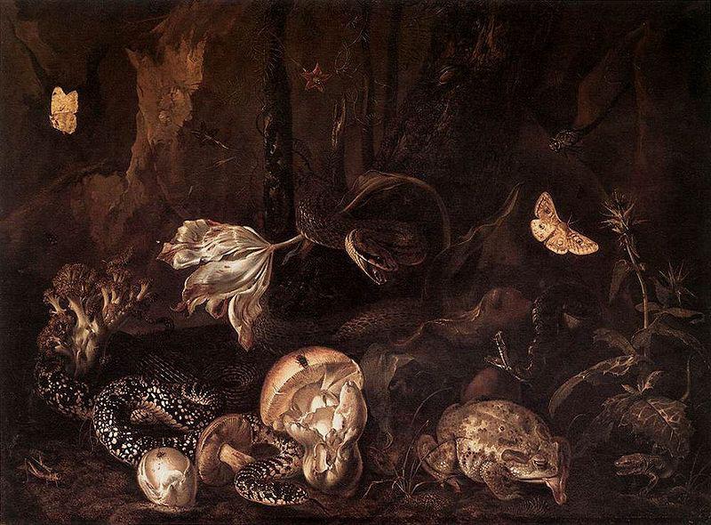 Otto Marseus van Schrieck Still life with Insects and Amphibians